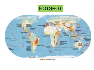 HOTSPOT
 