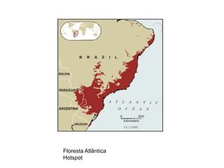 Floresta Atlântica
Hotspot
 