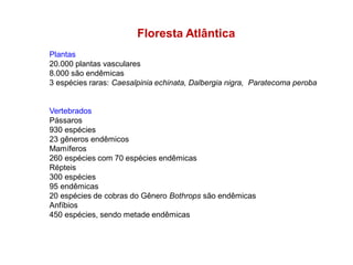 Floresta Atlântica
Plantas
20.000 plantas vasculares
8.000 são endêmicas
3 espécies raras: Caesalpinia echinata, Dalbergia nigra, Paratecoma peroba
Vertebrados
Pássaros
930 espécies
23 gêneros endêmicos
Mamíferos
260 espécies com 70 espécies endêmicas
Répteis
300 espécies
95 endêmicas
20 espécies de cobras do Gênero Bothrops são endêmicas
Anfíbios
450 espécies, sendo metade endêmicas
 