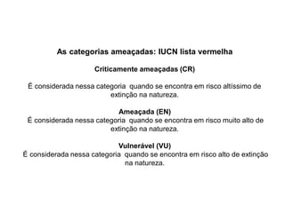 As categorias ameaçadas: IUCN lista vermelha
Criticamente ameaçadas (CR)
É considerada nessa categoria quando se encontra em risco altíssimo de
extinção na natureza.
Ameaçada (EN)
É considerada nessa categoria quando se encontra em risco muito alto de
extinção na natureza.
Vulnerável (VU)
É considerada nessa categoria quando se encontra em risco alto de extinção
na natureza.
 