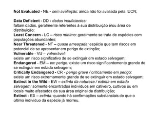 Not Evaluated - NE - sem avaliação: ainda não foi avaliada pela IUCN;
Data Deficient - DD - dados insuficientes:
faltam dados, geralmente referentes à sua distribuição e/ou área de
distribuição;
Least Concern - LC – risco mínimo: geralmente se trata de espécies com
populações abundantes;
Near Threatened - NT – quase ameaçada: espécie que tem riscos em
potencial de se apresentar em perigo de extinção;
Vulnerable - VU – vulnerável:
existe um risco significativo de se extinguir em estado selvagem;
Endangered - EM – em perigo: existe um risco significantemente grande de
se extinguir em estado selvagem;
Critically Endangered - CR - perigo grave / criticamente em perigo:
existe um risco extremamente grande de se extinguir em estado selvagem;
Extinct in the Wild - EW – extinta da natureza / extinta em estado
selvagem: somente encontrados indivíduos em cativeiro, cultivos ou em
locais muito afastados da sua área original de distribuição;
Extinct - EX – extinta: quando há confirmações substanciais de que o
último indivíduo da espécie já morreu.
 