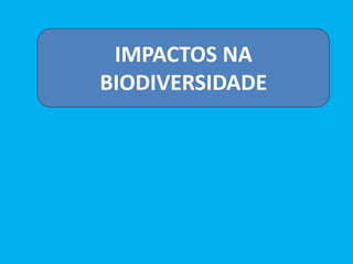 IMPACTOS NA
BIODIVERSIDADE
 