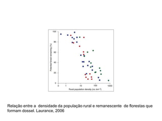 Relação entre a densidade da população rural e remanescente de florestas que
formam dossel. Laurance, 2006
 