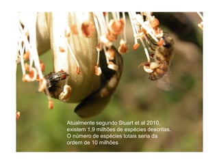 Atualmente segundo Stuart et al 2010,
existem 1,9 milhões de espécies descritas.
O número de espécies totais seria da
ordem de 10 milhões
 