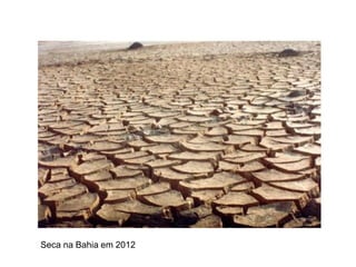 Seca na Bahia em 2012
 