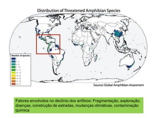 Fatores envolvidos no declínio dos anfíbios: Fragmentação, exploração,
doenças, construção de estradas, mudanças climáticas, contaminação
química
 