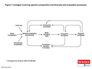 Figure 1 Linkages involving species composition and diversity and ecosystem processes.
F S Chapin et al. Science 1997;277:500-504
Published by AAAS
 