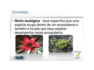 Ecossitemas