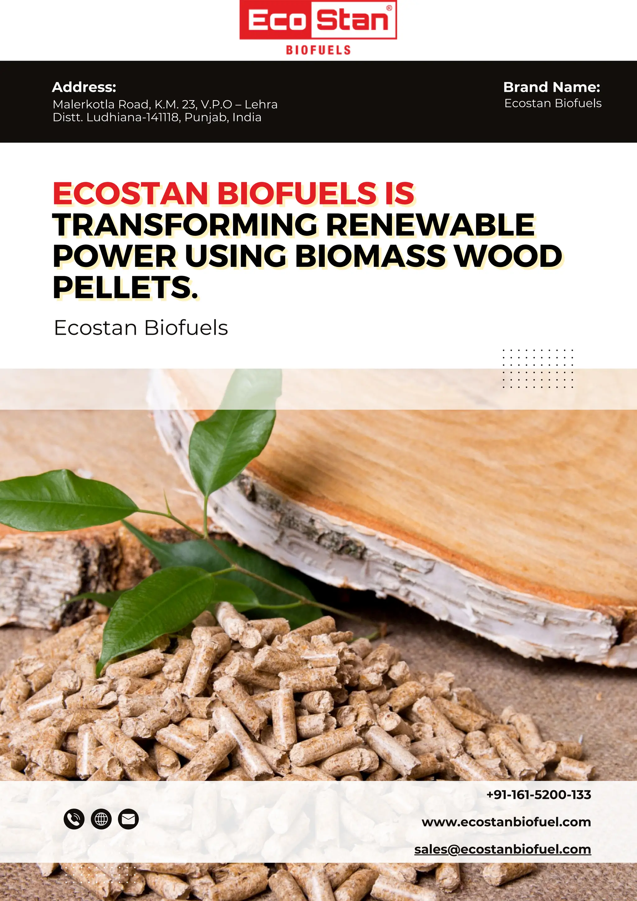 Ecostan Biofuels is transforming renewable power using biomass wood ...