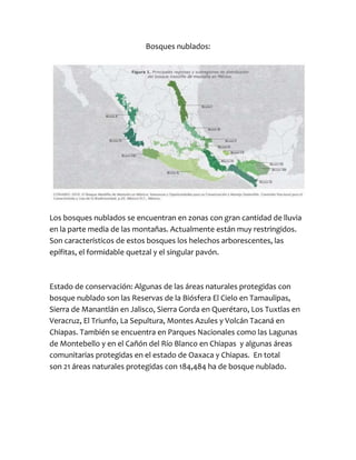 Bosques nublados:
Los bosques nublados se encuentran en zonas con gran cantidad de lluvia
en la parte media de las montañas. Actualmente están muy restringidos.
Son característicos de estos bosques los helechos arborescentes, las
epífitas, el formidable quetzal y el singular pavón.
Estado de conservación: Algunas de las áreas naturales protegidas con
bosque nublado son las Reservas de la Biósfera El Cielo en Tamaulipas,
Sierra de Manantlán en Jalisco, Sierra Gorda en Querétaro, Los Tuxtlas en
Veracruz, El Triunfo, La Sepultura, Montes Azules y Volcán Tacaná en
Chiapas. También se encuentra en Parques Nacionales como las Lagunas
de Montebello y en el Cañón del Río Blanco en Chiapas y algunas áreas
comunitarias protegidas en el estado de Oaxaca y Chiapas. En total
son 21 áreas naturales protegidas con 184,484 ha de bosque nublado.
 
