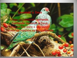 Louvando a Deus
Ouça os pássaros cantando,
Cantando louvando a Deus,
Deus os fez para o seu louvor,
Louvor eu também estou cantando.
 