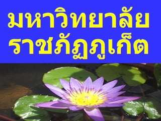 มหาวิทยาลัย ราชภัฏภูเก็ต 