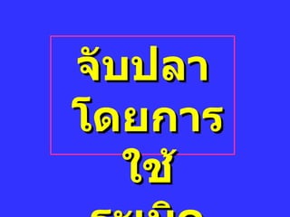 จับปลาโดยการใช้ระเบิด 