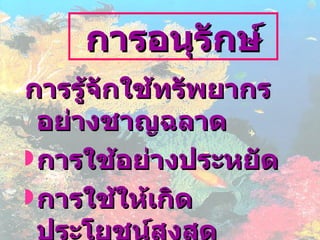 การรู้จักใช้ทรัพยากรอย่างชาญฉลาด การใช้อย่างประหยัด การใช้ให้เกิดประโยชน์สูงสุด การใช้อย่างยั่งยืนใช้ได้ตลอดไป การอนุรักษ์ 