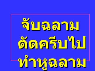 จับฉลามตัดครีบไปทำหูฉลาม 