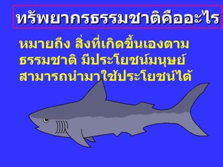 ทรัพยากรธรรมชาติคืออะไร หมายถึง สิ่งที่เกิดขึ้นเองตามธรรมชาติ มีประโยชȨมนุษย์สามารถȨมาใช้ประโยชน์ไึϹ 