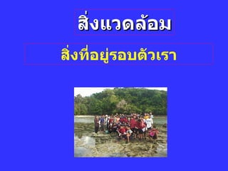 สิ่งแวดล้อม สิ่งที่อยู่รอบตัวเรา 