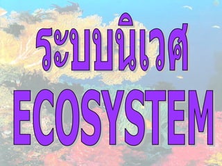 ระบบนิเวศ ECOSYSTEM 