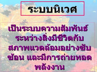 เป็นระบบความสัมพันธ์ระหว่างสิ่งมีชีวิตกับสภาพแวดล้อมอย่างซับซ้อน และมีการถ่ายทอดพลังงาน ระบบนิเวศ 