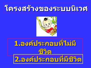 โครงสร้างของระบบนิเวศ 1. องค์ประกอบที่ไม่มีชีวิต 2. องค์ประกอบที่มีชีวิต 