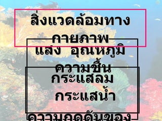 แสง  อุณหภูมิ  ความชื้น  สิ่งแวดล้อมทางกายภาพ กระแสลม  กระแสน้ำ ความกดดันของบรรยากาศ 