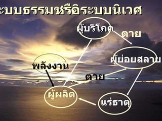 แร่ธาตุ ผู้ผลิต พลังงาน ผู้บริโภค ผู้ย่อยสลาย ระบบธรรมชาติ หรือระบบนิเวศ ตาย ตาย 