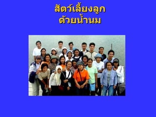 สัตว์เลี้ยงลูกึϹวยȨำนม 