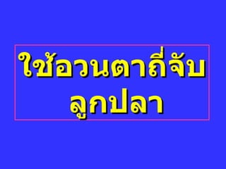 ใช้อวนตาถี่จับลูกปลา 