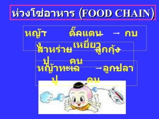 ห่วงโซ่อาหาร  ( FOOD CHAIN ) หญ้า  ตั๊กแตน  กบ  งู  เหยี่ยว สาหร่าย  ลูกกุ้ง  ปู   คน หญ้าทะเล  ลูกปลา  ปู   คน 