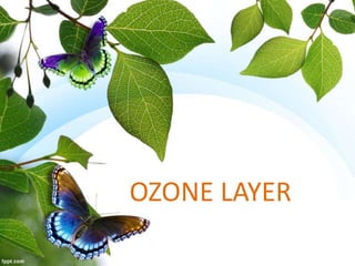 OZONE LAYER
 