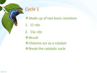 Cycle 1
Made up of two basic reactions
1. Cl +o3
2. Clo +o2
Result
Chlorine act as a catalyst
Break the catalytic cycle
 