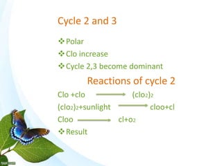 Cycle 2 and 3
Polar
Clo increase
Cycle 2,3 become dominant
Reactions of cycle 2
Clo +clo (clo2)2
(clo2)2+sunlight cloo+cl
Cloo cl+o2
Result
 