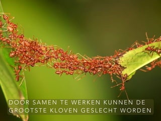 D O O R S A M E N T E W E R K E N K U N N E N D E
G R O O T S T E K L O V E N G E S L E C H T W O R D E N
 