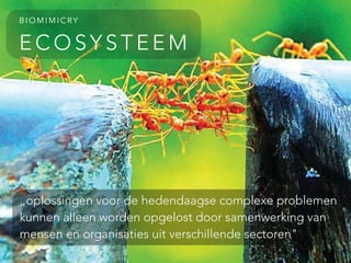 E C O S Y S T E E M
B I O M I M I C RY
„oplossingen voor de hedendaagse complexe problemen
kunnen alleen worden opgelost door samenwerking van
mensen en organisaties uit verschillende sectoren"
 