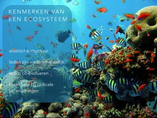 K E N M E R K E N VA N
E E N E C O S Y S T E E M
• elastische structuur
• leden zijn wederafhankelijk
• leden co-evolueren
• breekbaar bij radicale
veranderingen
 