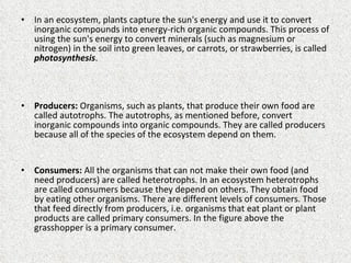 In an ecosystem, plants capture the sun's energy and use it to convert inorganic compounds into energy-rich organic compounds. This process of using the sun's energy to convert minerals (such as magnesium or nitrogen) in the soil into green leaves, or carrots, or strawberries, is called  photosynthesis . Producers:  Organisms, such as plants, that produce their own food are called autotrophs. The autotrophs, as mentioned before, convert inorganic compounds into organic compounds. They are called producers because all of the species of the ecosystem depend on them.   Consumers:  All the organisms that can not make their own food (and need producers) are called heterotrophs. In an ecosystem heterotrophs are called consumers because they depend on others. They obtain food by eating other organisms. There are different levels of consumers. Those that feed directly from producers, i.e. organisms that eat plant or plant products are called primary consumers. In the figure above the grasshopper is a primary consumer.     