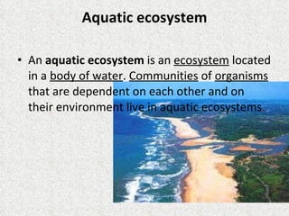 Aquatic ecosystem An  aquatic ecosystem  is an  ecosystem  located in a  body of water .  Communities  of  organisms  that are dependent on each other and on their environment live in aquatic ecosystems .  
