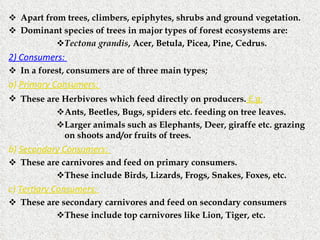 Apart from trees, climbers, epiphytes, shrubs and ground vegetation. Dominant species of trees in major types of forest ecosystems are: Tectona grandis , Acer, Betula, Picea, Pine, Cedrus. 2) Consumers:   In a forest, consumers are of three main types; a)  Primary Consumers:  These are Herbivores which feed directly on producers.  E.g. Ants, Beetles, Bugs, spiders etc. feeding on tree leaves. Larger animals such as Elephants, Deer, giraffe etc. grazing on shoots and/or fruits of trees.  b)  Secondary Consumers:  These are carnivores and feed on primary consumers.  These include Birds, Lizards, Frogs, Snakes, Foxes, etc. c)  Tertiary Consumers:  These are secondary carnivores and feed on secondary consumers These include top carnivores like Lion, Tiger, etc. 