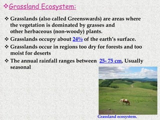 Grasslands (also called Greenswards) are areas where the vegetation is dominated by grasses and other herbaceous (non-woody) plants. Grasslands occupy about  24%  of the earth’s surface. Grasslands occur in regions too dry for forests and too moist for deserts The annual rainfall ranges between  25- 75 cm , Usually seasonal Grassland Ecosystem: Grassland ecosystem. 