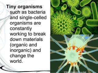 Tiny organisms   such as bacteria and single-celled organisms are constantly working to break down materials (organic and inorganic) and change the world. 