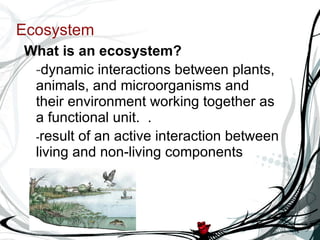Ecosystem What is an ecosystem? - dynamic interactions between plants, animals, and microorganisms and their environment working together as a functional unit.    .  - result of an active interaction between living and non-living components 