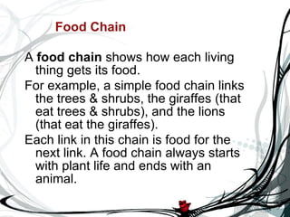 Food Chain A  food chain  shows how each living thing gets its food. For example, a simple food chain links the trees & shrubs, the giraffes (that eat trees & shrubs), and the lions (that eat the giraffes).  Each link in this chain is food for the next link. A food chain always starts with plant life and ends with an animal.  