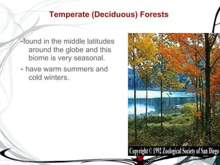 Temperate (Deciduous) Forests   - found in the middle latitudes around the globe and this biome is very seasonal.  -  have warm summers and cold winters.  