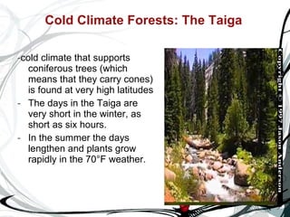 Cold Climate Forests: The Taiga   - cold climate that supports coniferous trees (which means that they carry cones) is found at very high latitudes  The days in the Taiga are very short in the winter, as short as six hours.  In the summer the days lengthen and plants grow rapidly in the 70°F weather.   