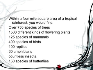 Within a four mile square area of a tropical rainforest, you would find:  Over 750 species of trees  1500 different kinds of flowering plants  125 species of mammals  400 species of birds  100 reptiles  60 amphibians  countless insects  150 species of butterflies  