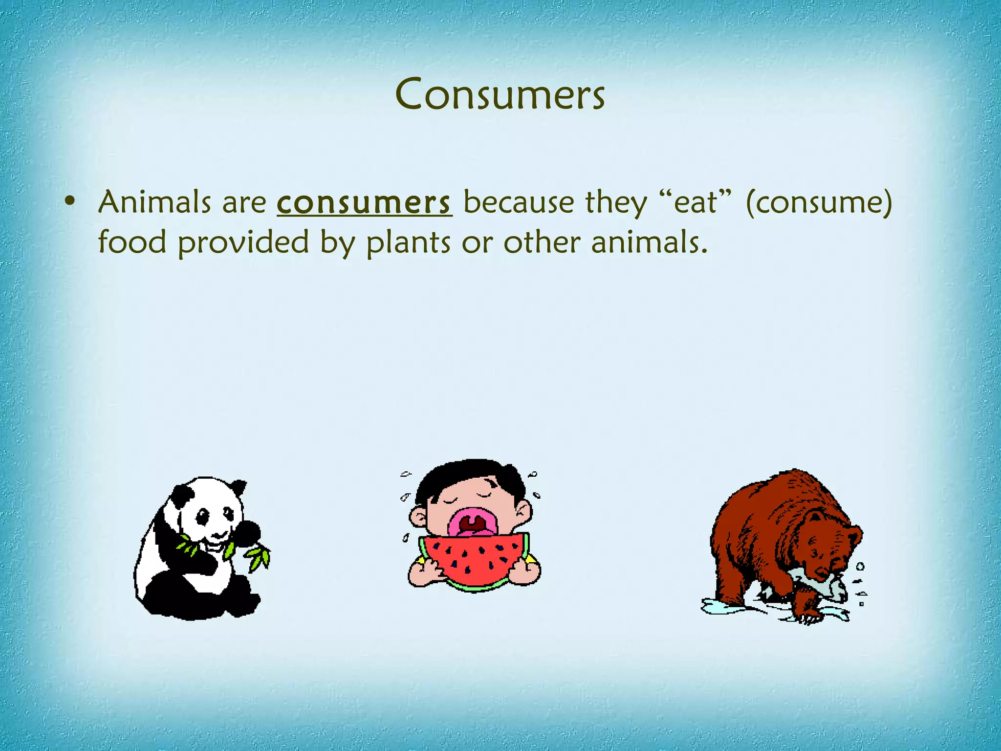 Consumers Animals are  consumers  because they “eat” (consume) food provided by plants or other animals. 