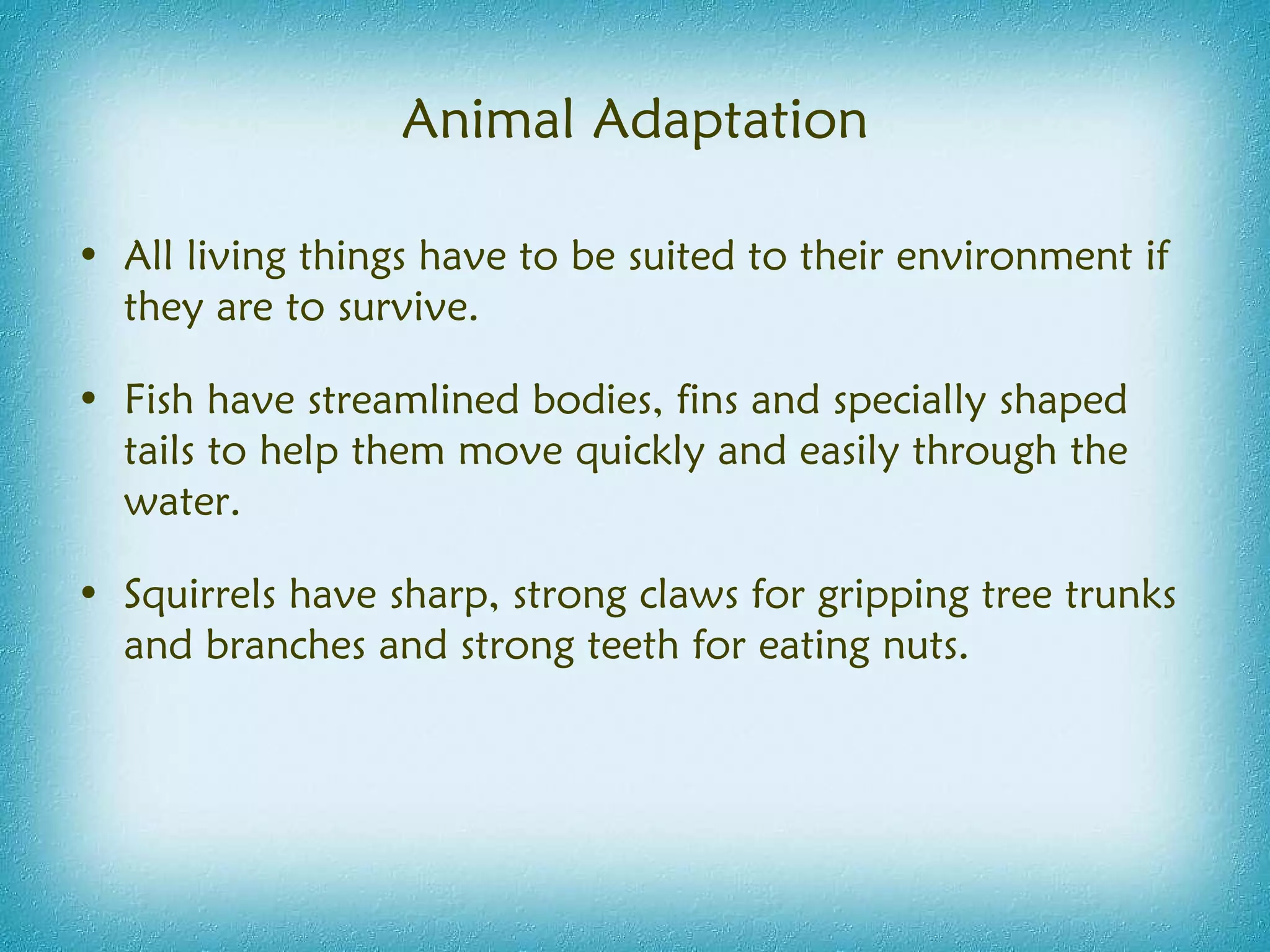 Animal Adaptation All living things have to be suited to their environment if they are to survive. Fish have streamlined bodies, fins and specially shaped tails to help them move quickly and easily through the water.  Squirrels have sharp, strong claws for gripping tree trunks and branches and strong teeth for eating nuts. 