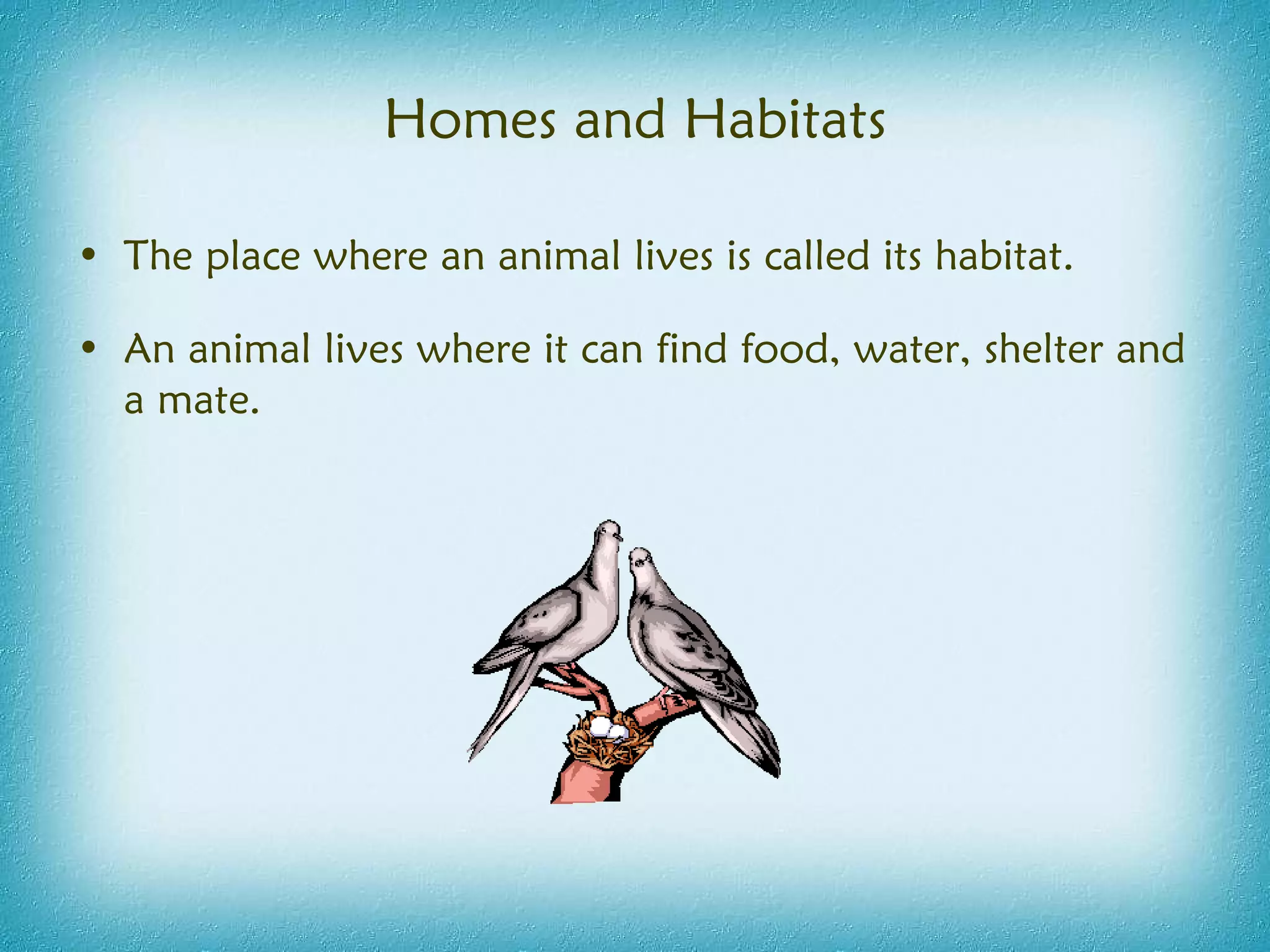 Homes and Habitats The place where an animal lives is called its habitat. An animal lives where it can find food, water, shelter and a mate. 