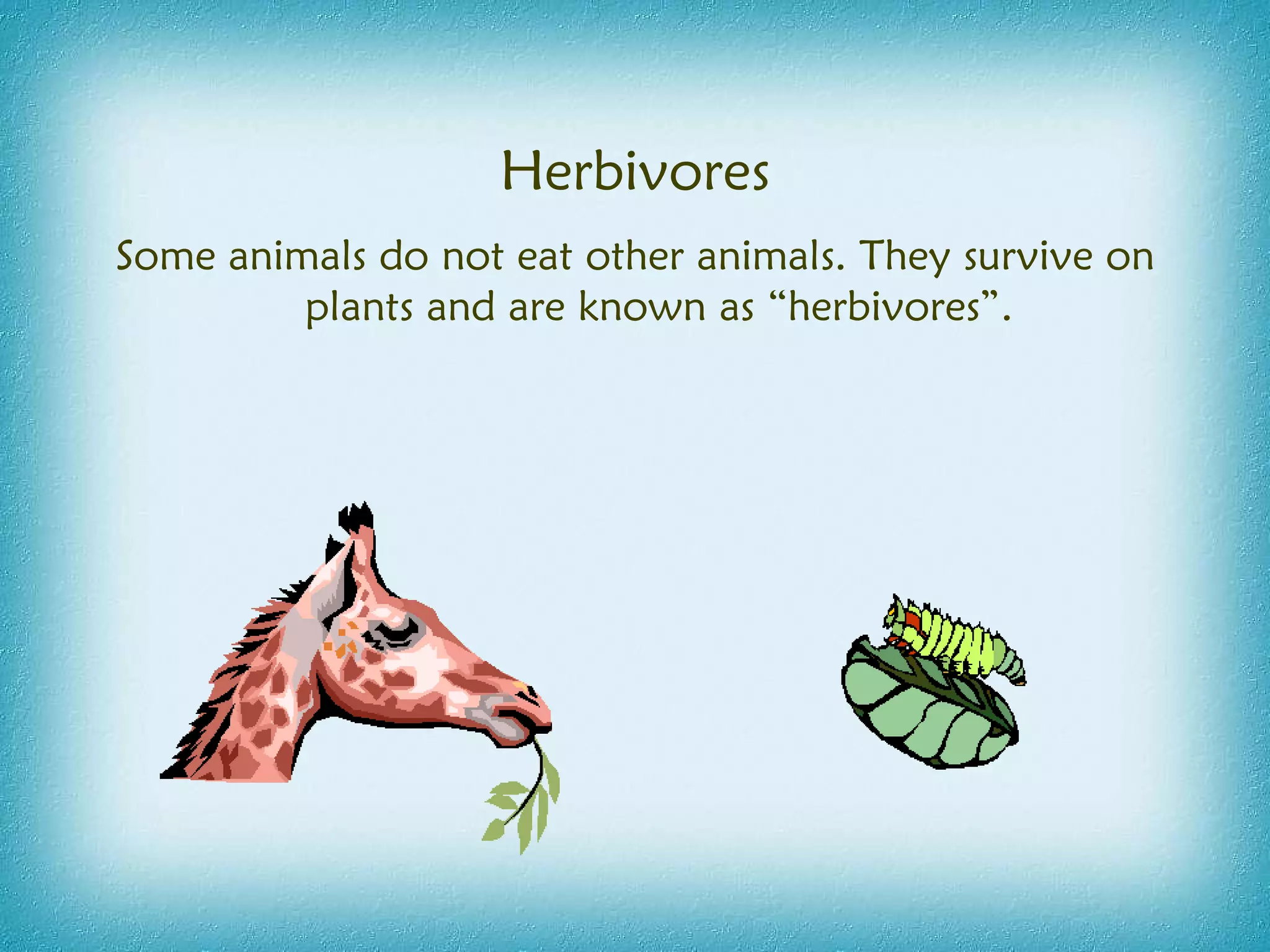 Herbivores Some animals do not eat other animals. They survive on plants and are known as “herbivores”. 