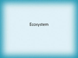 Ecosystem 